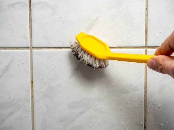 Best DIY Mold Remediation Support Services in Madera Ranchos, CA