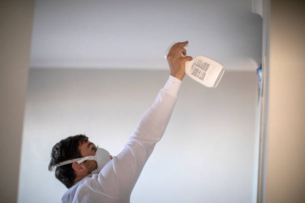 Best Bathroom Mold Remediation in Madera Ranchos, CA